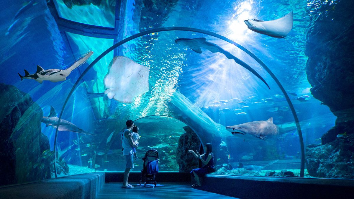 Sea Life Bangkok Ocean World